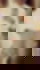 672863620
